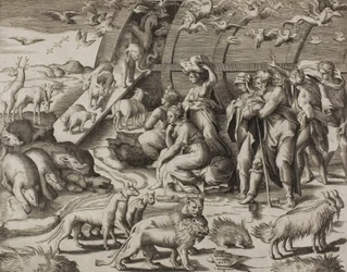 Afdaling uit de Ark