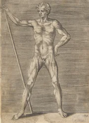 Gevilde man van voren gezien, met een stok