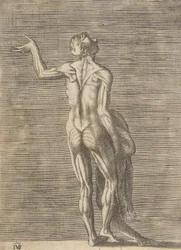 Gevilde man met linkerhand op heup, huid in rechterhand, ca. 1531-76