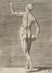 Man gezien van achteren, met een schedel in zijn rechterhand, 16e eeuw