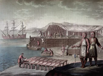 Kabeljauwvisserij door de inwoners van Newfoundland - in "Le costume ancien et moderne" door Ferrario, ed. Milaan