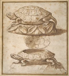 Ontwerp voor een doos met deksel in de vorm van een schildpad, open en gesloten getoond