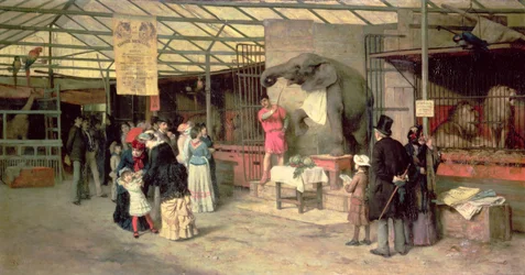 In de dierentuin
