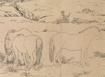 Honderd paarden