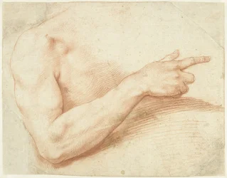 Studie van een arm