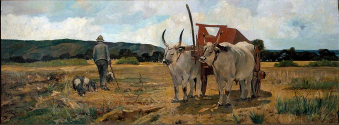 Landschap in Maremma