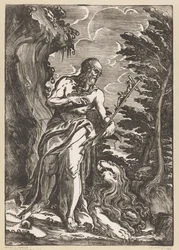 Heilige Hieronymus in de wildernis