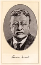 Theodore Roosevelt, 26e president van de Verenigde Staten