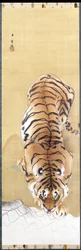 Tijger