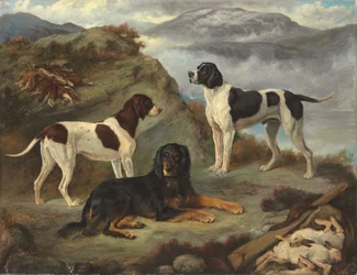 Sherry, Ranger en Glen, drie jachthonden in een landschap