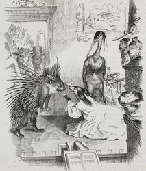 Hond en stekelvarken, karikatuur door Jean-Jacques Grandville (1803-1847), lithografie door Giovanni Mariani uit Poliorama Pittoresco, nr. 38, 30 april