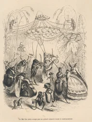 Insectenconcert op een bal