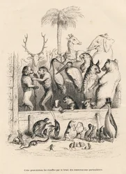 Gesprek tussen dieren