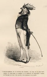 Haan gewend aan de vechtbarrière die trots marcheert. Geïllustreerde vignetten door JJ Granville. Gravure gesigneerd door Caque in het deel "Verhaal van een haas" geschreven door PJ Stahl in "Scènes uit het privé- en openbare leven van dieren". Parijs, J. 