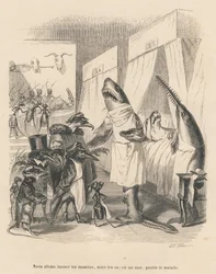 De haaienartsen leggen hun chirurgische ingreep uit. Vignetten geïllustreerd door JJ Granville. Gravure gesigneerd Godard in het deel "De dierenartsen" geschreven door Pierre Bernard in "Scènes uit het privé- en openbare leven van dieren". Parijs, J. Hetze