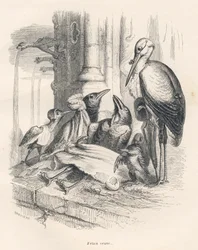 Dood van een kraai naast zijn familie en een ooievaar. Vignetten geïllustreerd door JJ Granville. Gravure gesigneerd Breviere in het deel getiteld "Herinneringen van een oude kraai" geschreven door PJ Stahl in "Scènes uit het privé- en openbare leven van d