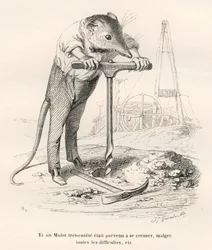 Muis die de grond doorboort. Vignetten geïllustreerd door JJ Granville. Gravure gesigneerd Breviere in het deel 