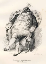 Pauw zittend op zijn fauteuil