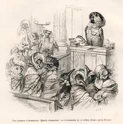 Welbespraakte papegaai. Vignetten geïllustreerd door J. J. Grandville. Gravure gesigneerd door Porret in het deel getiteld 