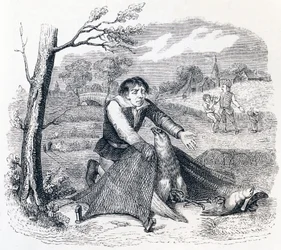 De vogelvanger, de havik en de leeuwerik - Fabels van La Fontaine