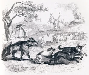 De bassa en de koopman - Fabels van La Fontaine