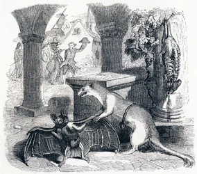 De vleermuis en de twee wezels - Fabels van La Fontaine