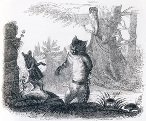 De kat en de rat
