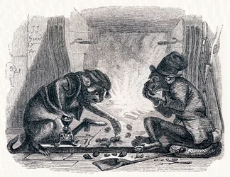 De ezel en de kat - Fabels van La Fontaine