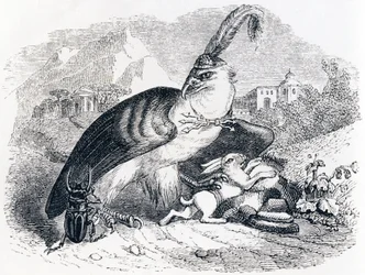De adelaar en de slak - Fabels van La Fontaine