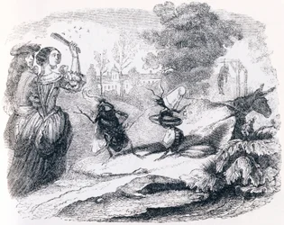 De vlieg en de mier (La mouche et la fourmi) - Fabels van La Fontaine