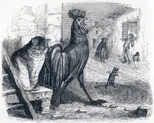 De haan, de kat en de muis (Le cochet, le chat et le souriceau) - Fabels van La Fontaine
