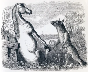 Het paard en de wolf (Le cheval et le loup) - Fabels van La Fontaine