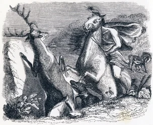 Het paard wilde de hert wreken
