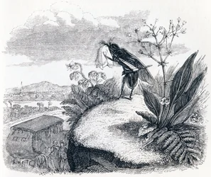 De teek en de vlieg - Fabels van La Fontaine