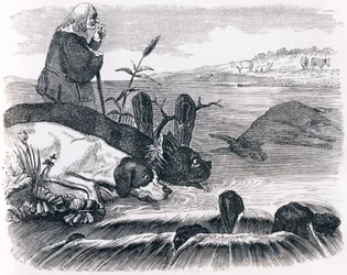 De twee honden en de dode ezel - Fabels van La Fontaine