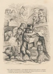 Dit is net verschenen. Kat en vogel verkopen het huidige boek voor zes sous. Vignetten geïllustreerd door JJ Granville. Gravure gesigneerd door Andrew, Best en Leloir in het proloog getiteld 