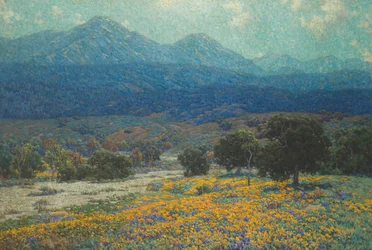 Californisch Klaprozenveld
