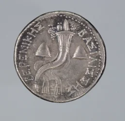 Zilveren Didrachma van Berenice II