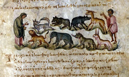 Spel: de dieren die je kunt jagen - in 