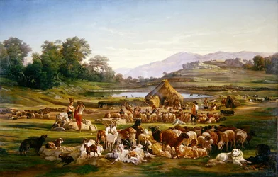 Herders met schapen