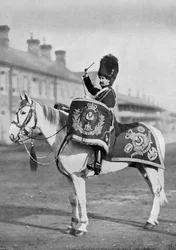 Plum Duff, het trommelpaard van de Royal Scots Greys, 1896