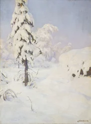 Winter in het bos