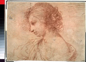 Portret van een jong meisje. (Borstportret van een jonge vrouw)