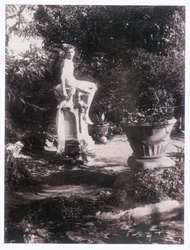 Fotograaf (foto)