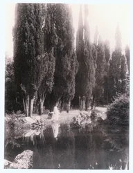 Pompeii (foto)