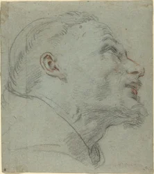 Hoofd van Sint Franciscus