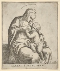 De Maagd die het Christuskind voedt