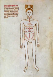Chirurgie: voorstelling van het menselijk lichaam. Miniatuur in 