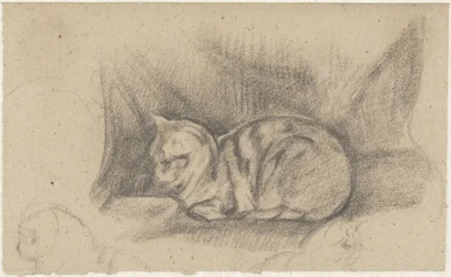 Liggende kat naar links
