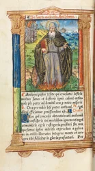 Getijdenboek (Gebruik van Rome): fol. 104v, St. Antonius Abt
